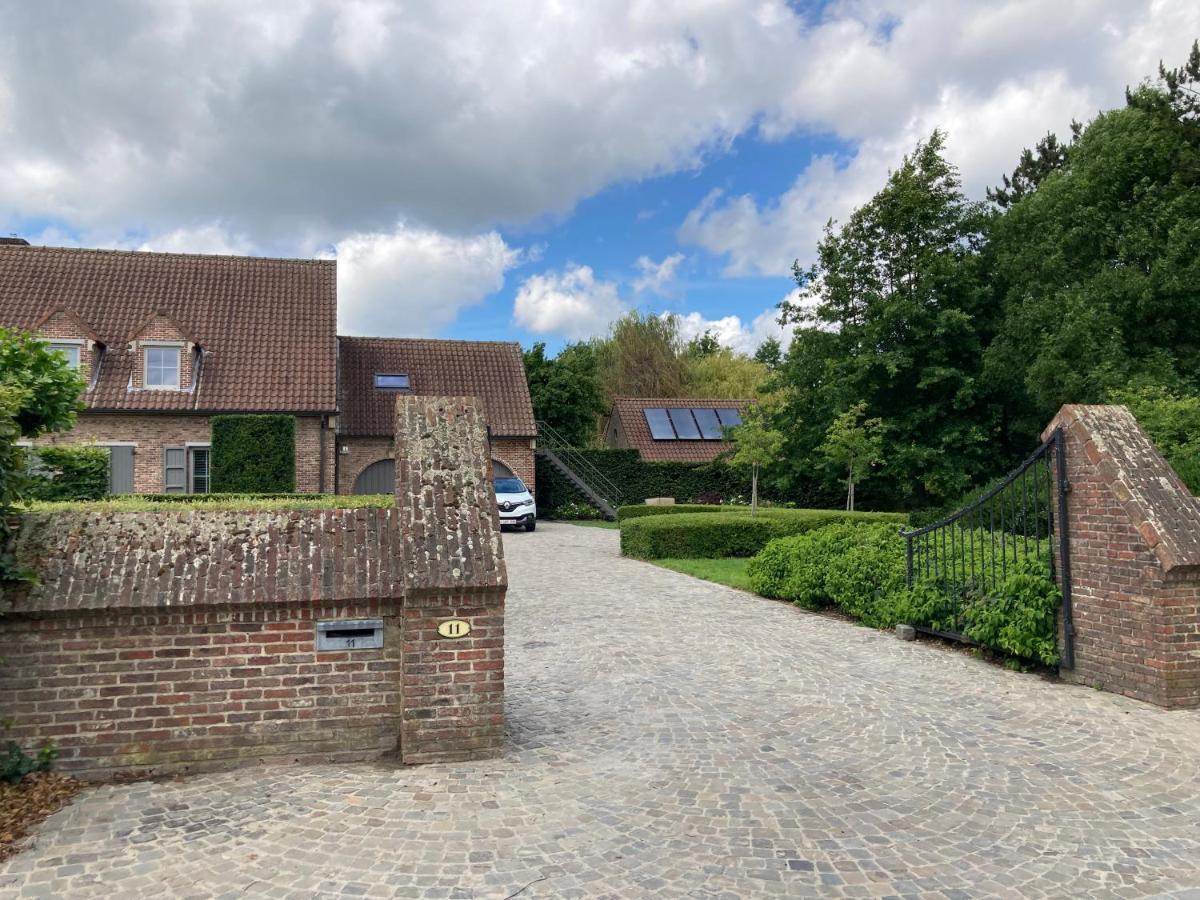 Rustig Appartement In Het Groen Met Terras Kontich Bagian luar foto